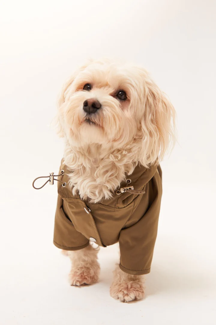 Lorico-Pet Torino Köpek Yağmurluk - Haki