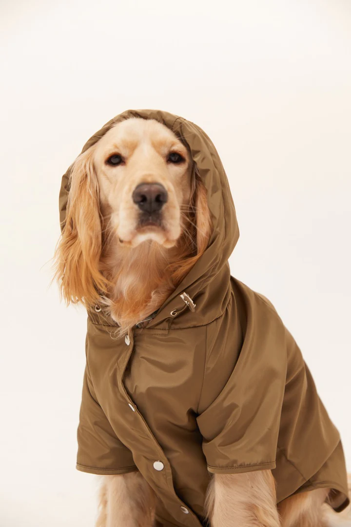 Lorico-Pet Torino Köpek Yağmurluk - Haki