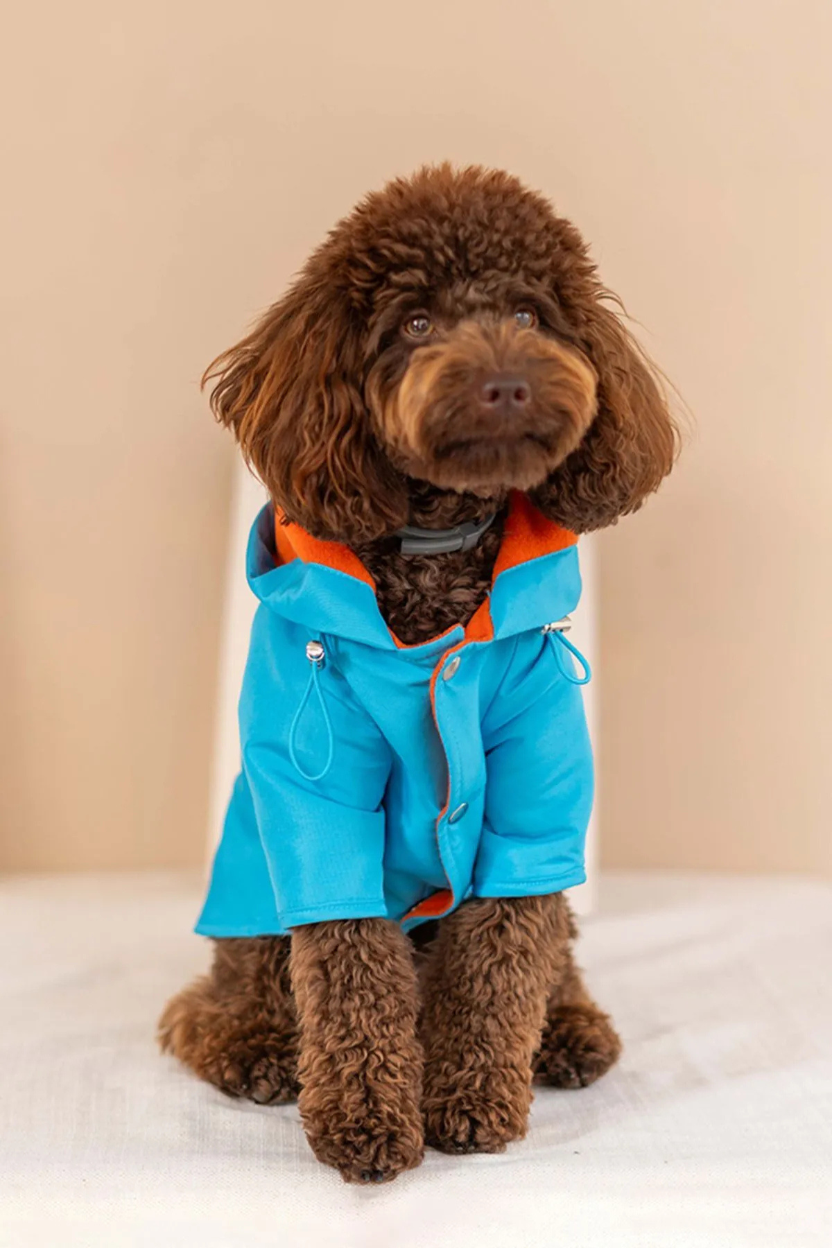 Lorico Torino Bright Yağmurluk Mavi