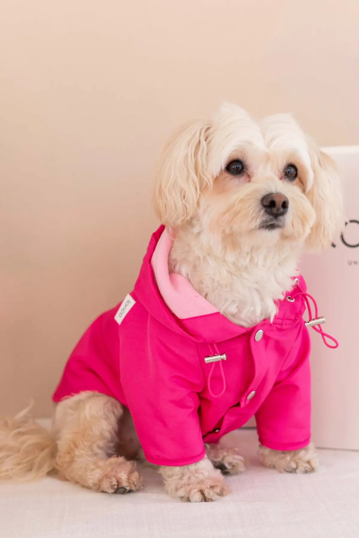 Lorico Torino Bright Yağmurluk Pembe