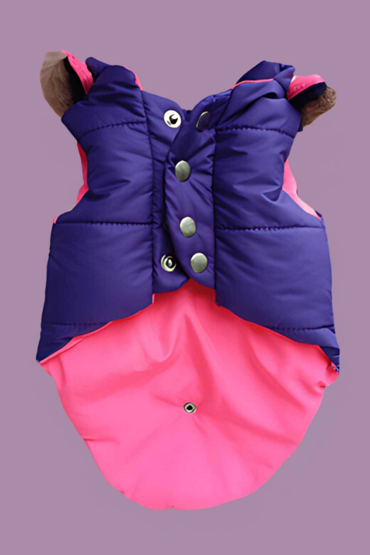 Lulu The Urban Pup The Violet Puffer Jacket Köpek Mont