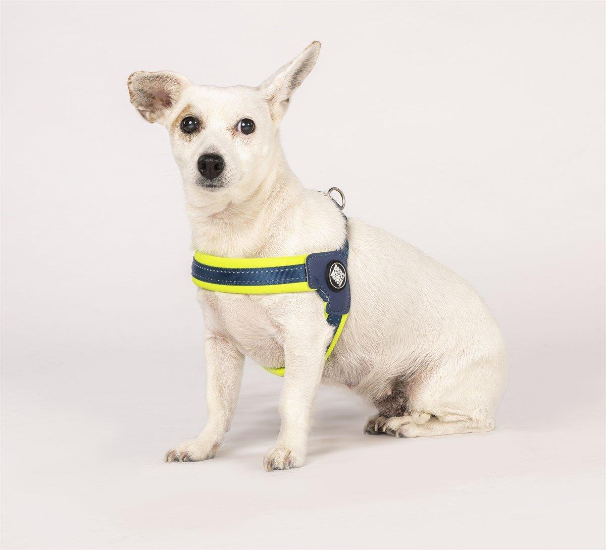 Max & Molly Matrix Yellow Q-Fit Köpek Göğüs Tasması