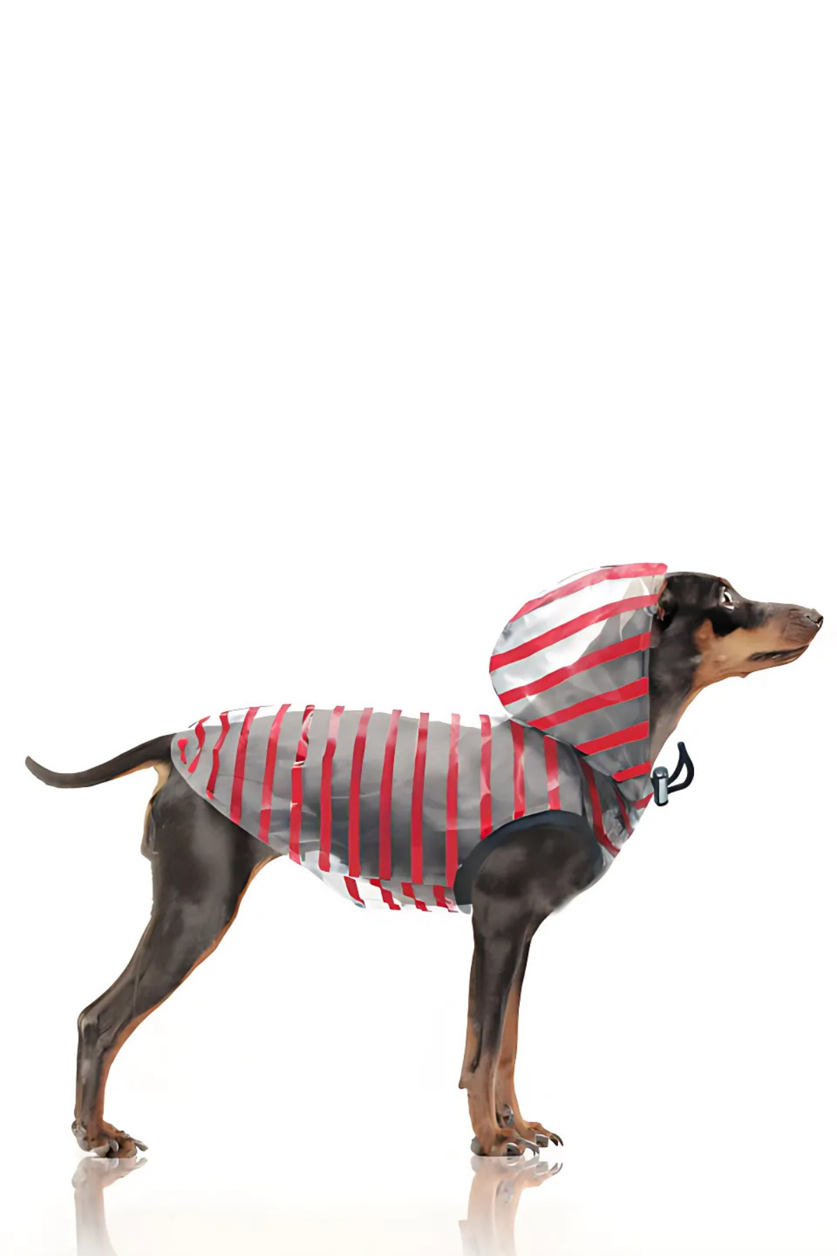Milk and Pepper Arzel Red Striped Yağmurluk 