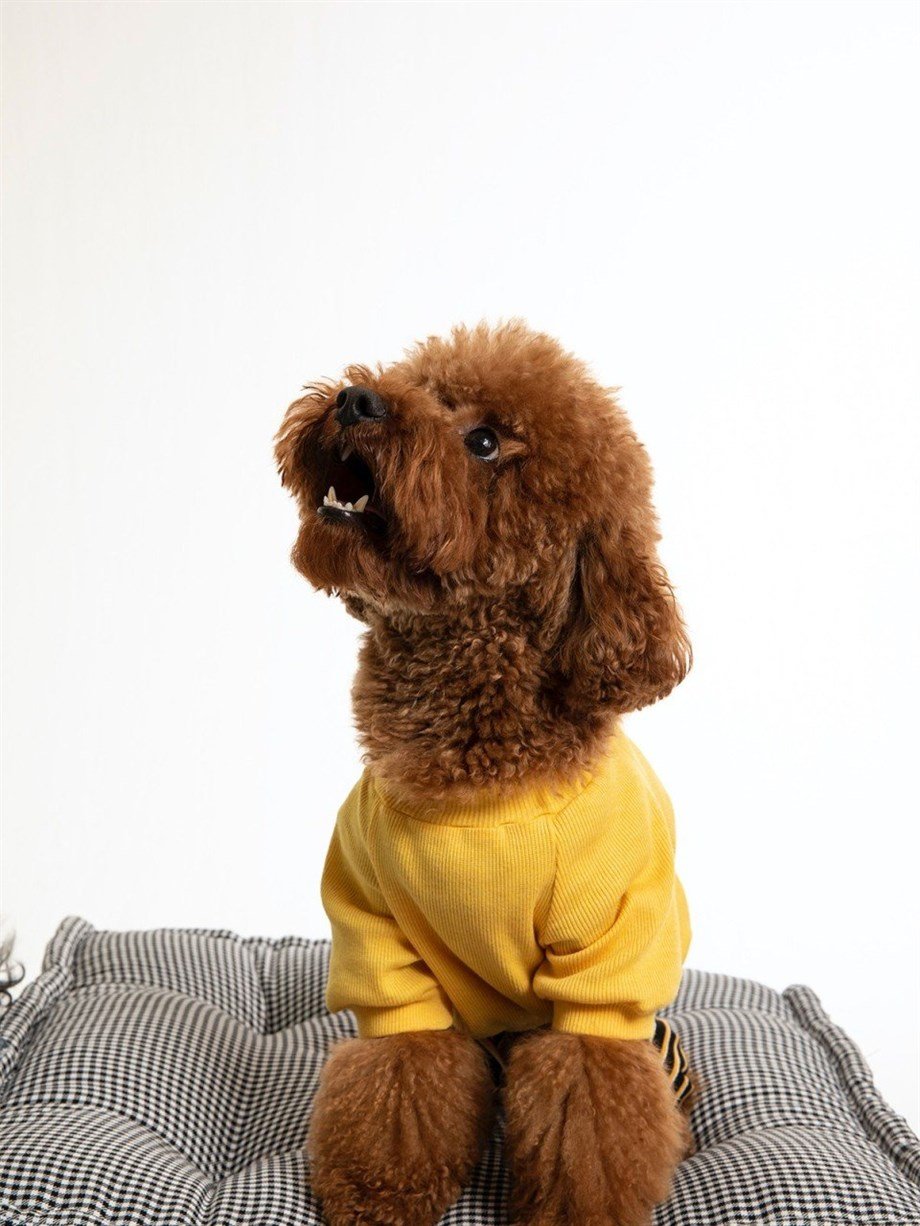 Moi and Ellie Budy Body Köpek Tulum