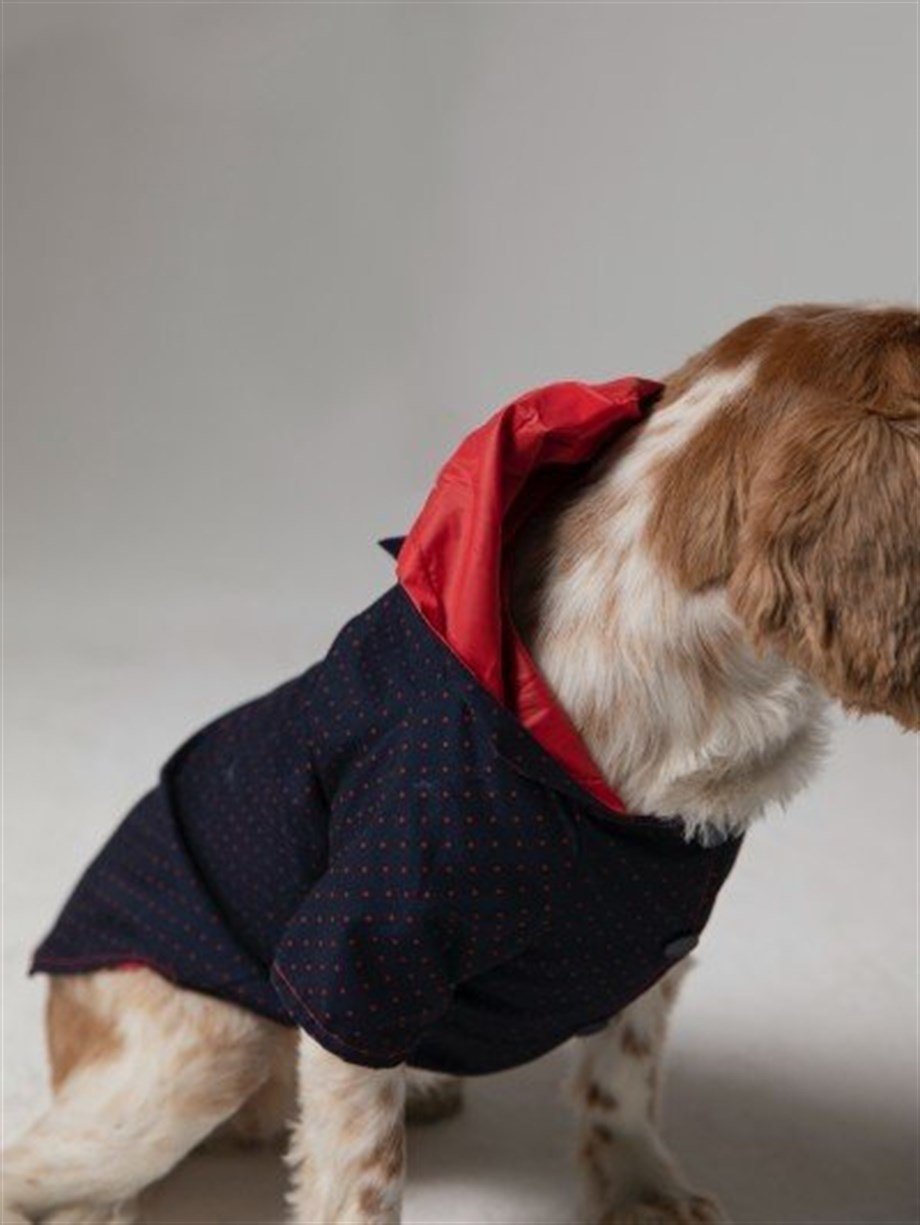 Moi and Ellie Lola Raincoat Köpek Yağmurluk