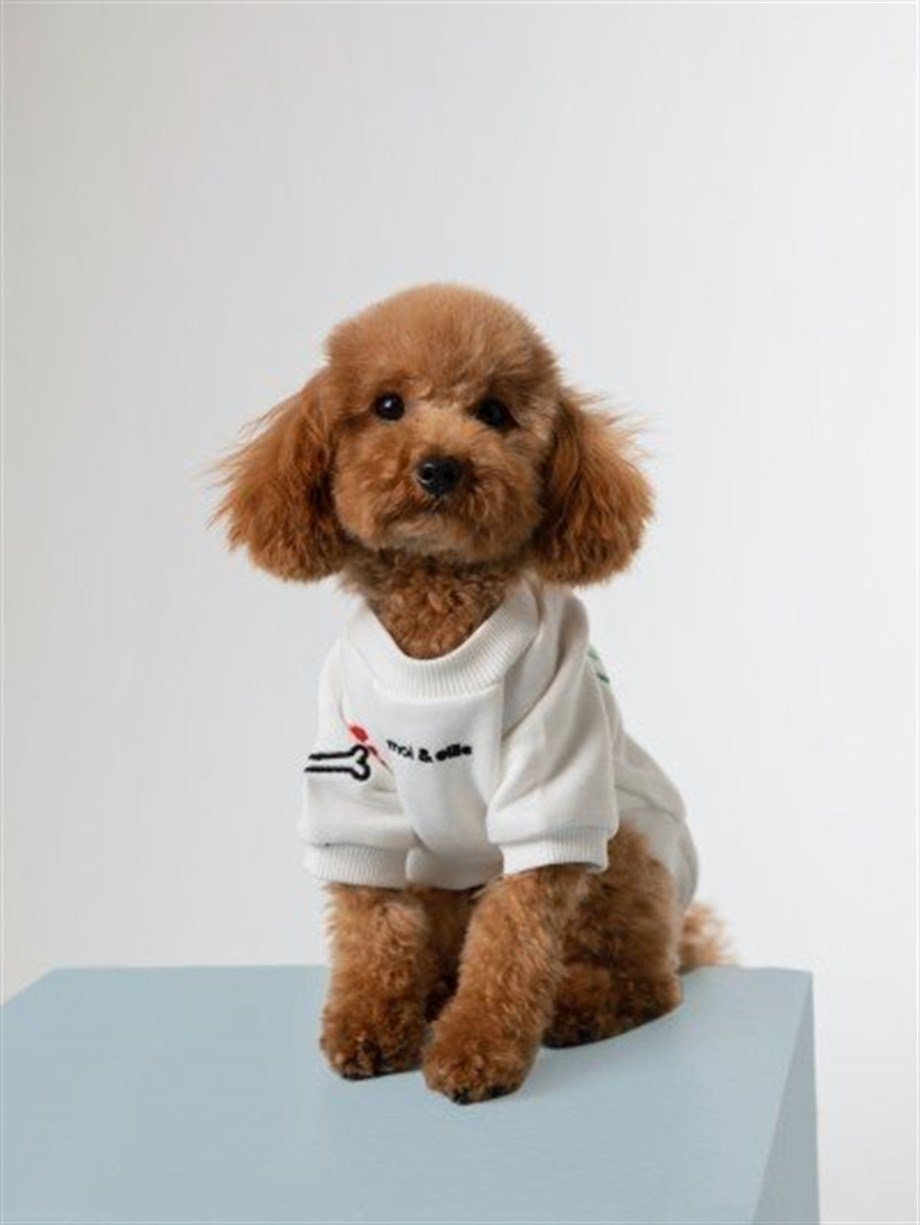 Moi and Ellie Moi Köpek Sweatshirt