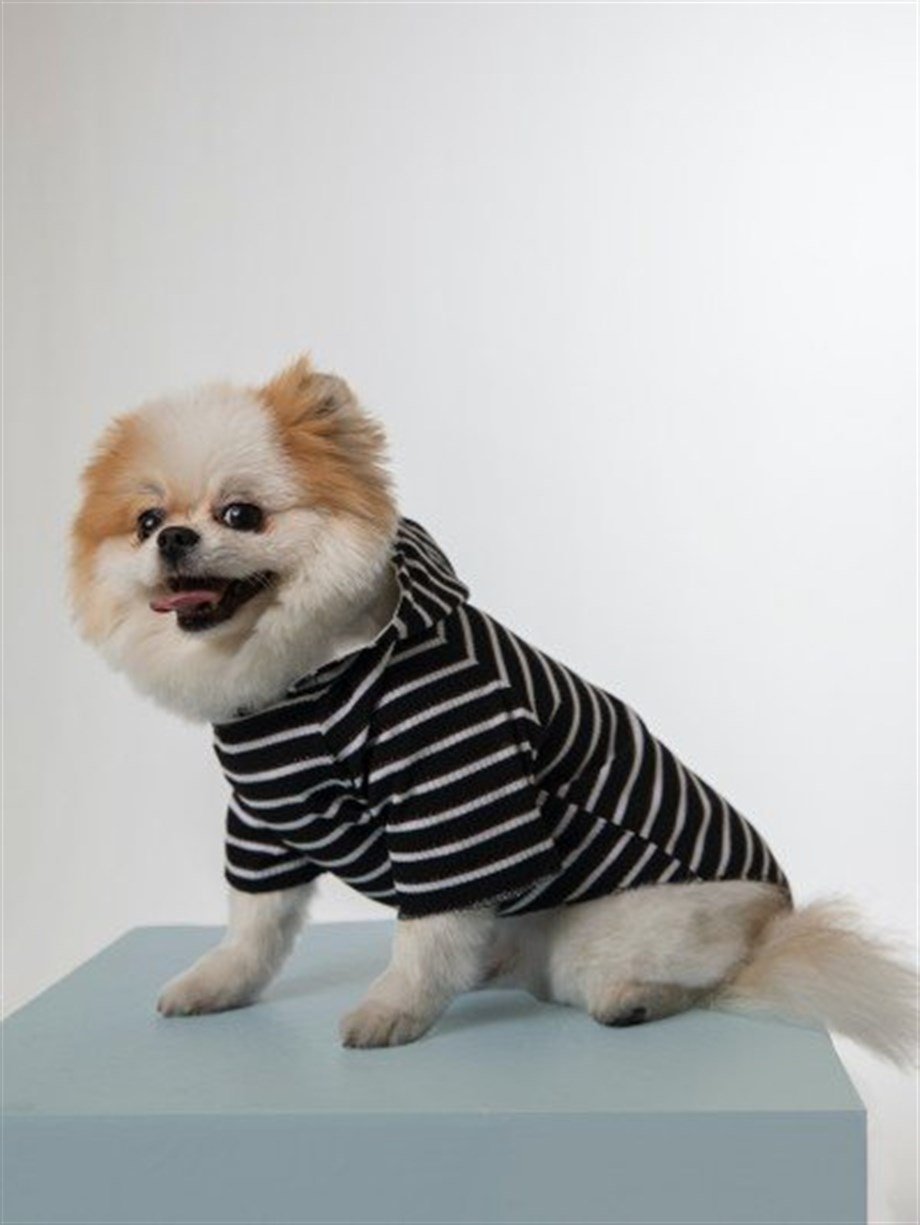 Moi and Ellie Sofie Hoodie Köpek Sweatshirt