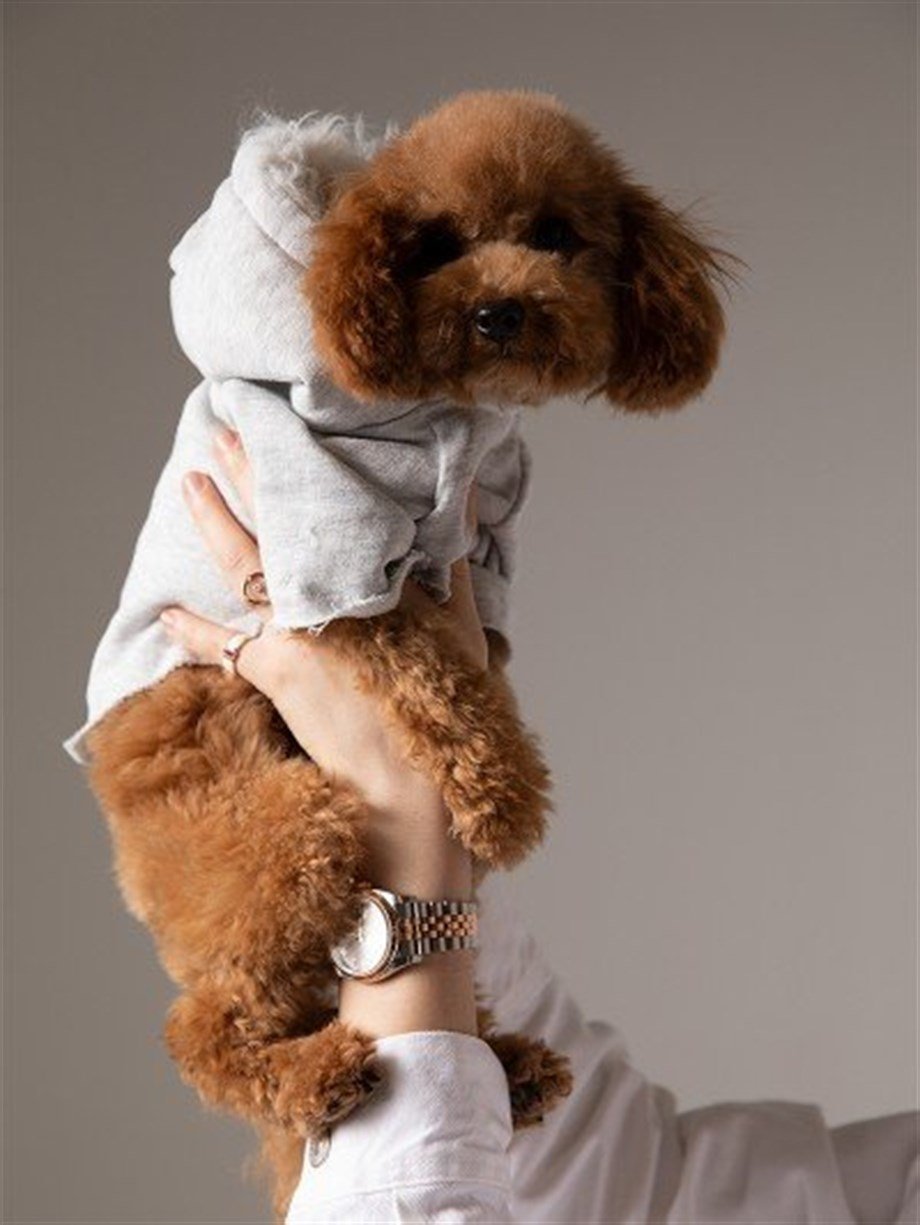 Moi and Ellie Stella Hoodie Köpek Sweatshirt