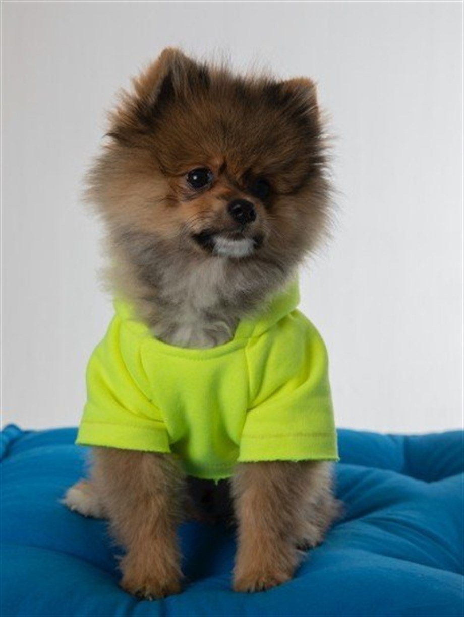 Moi and Ellie Toby Hoodie Köpek Sweatshirt