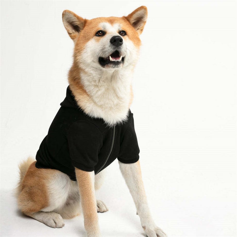 Mons Bons Marco Dog Hoodie Köpek Siyah