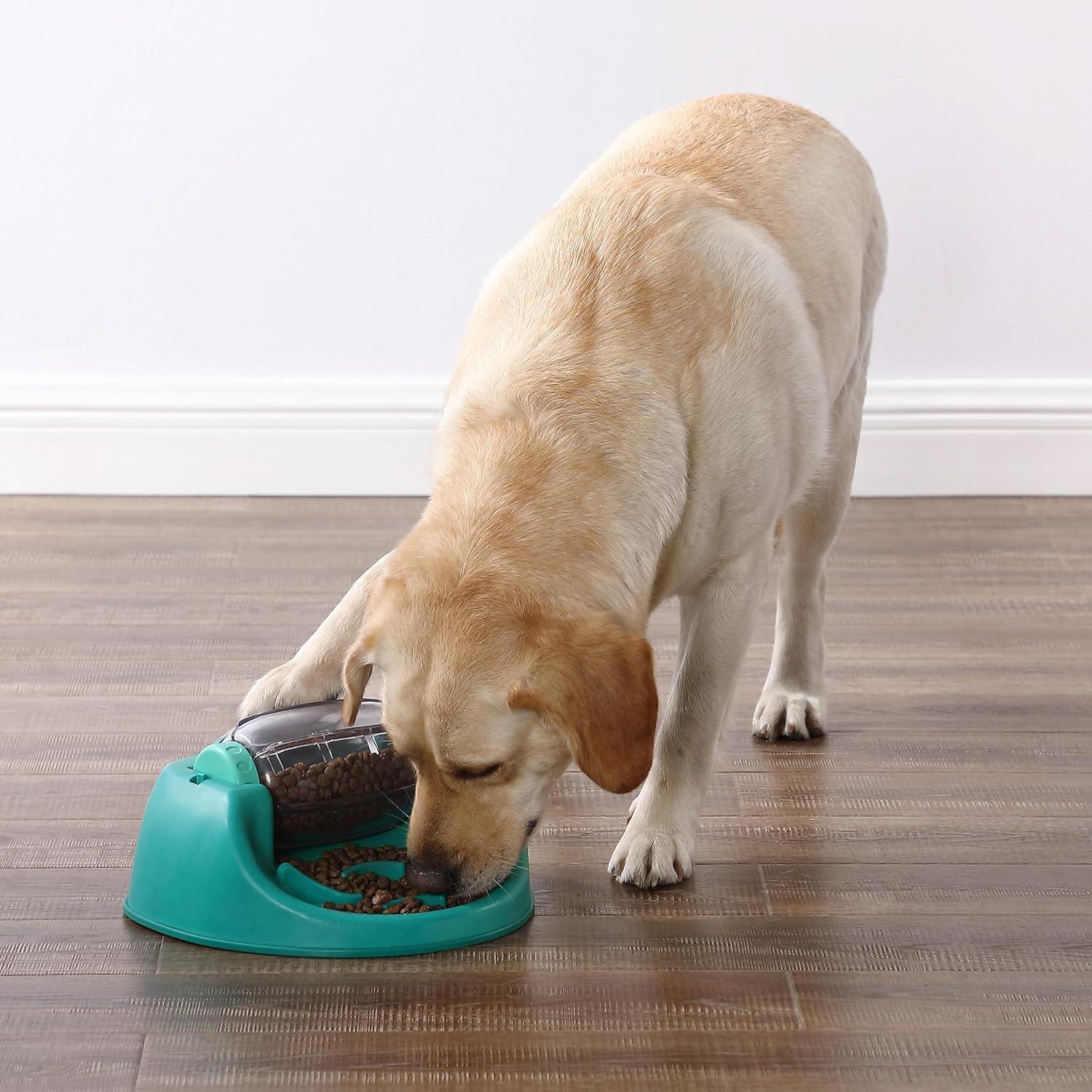 Outward Hound Nina Ottosson Spin N Eat Köpek Maması Bulmaca Besleyici, Yeşil
