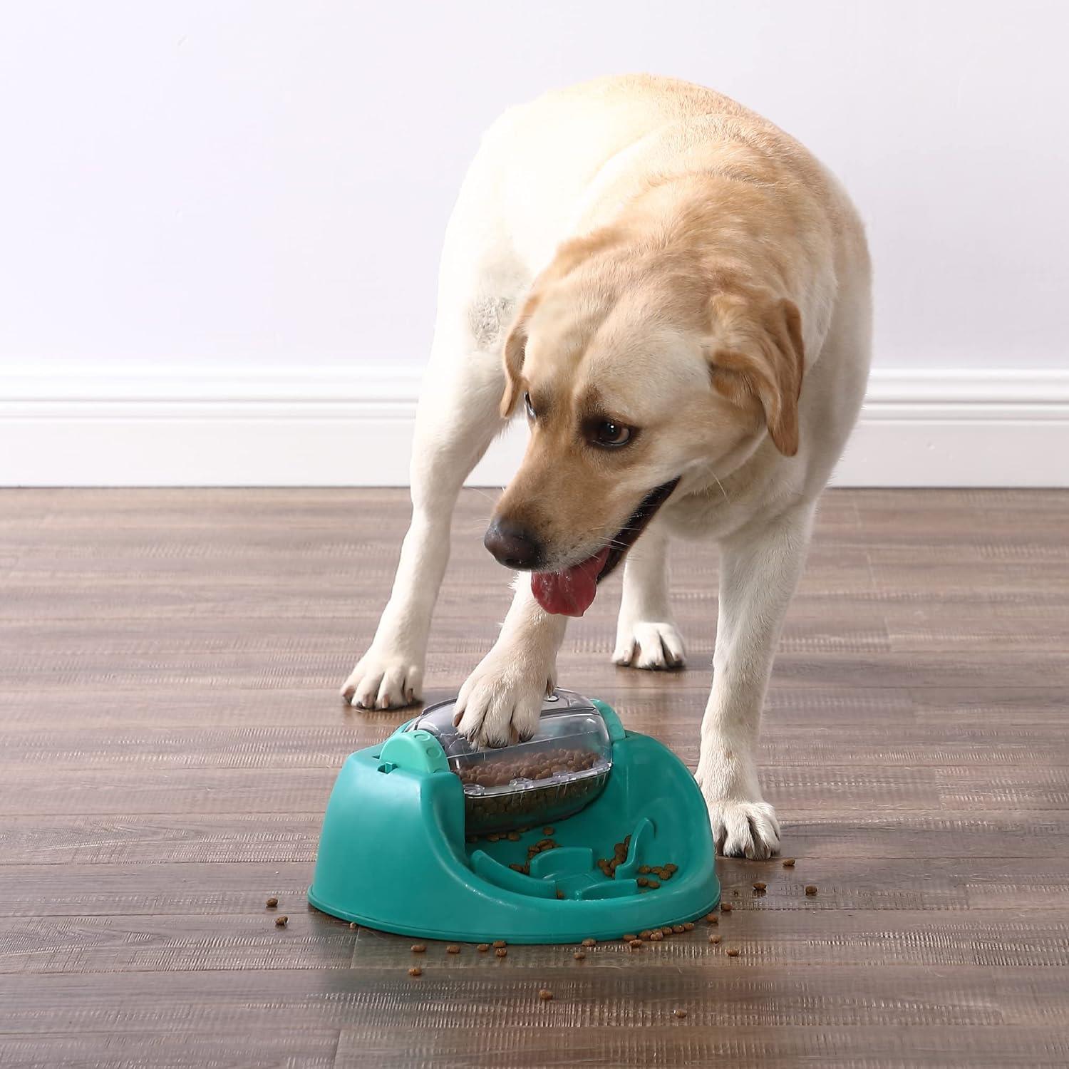 Outward Hound Nina Ottosson Spin N Eat Köpek Maması Bulmaca Besleyici, Yeşil