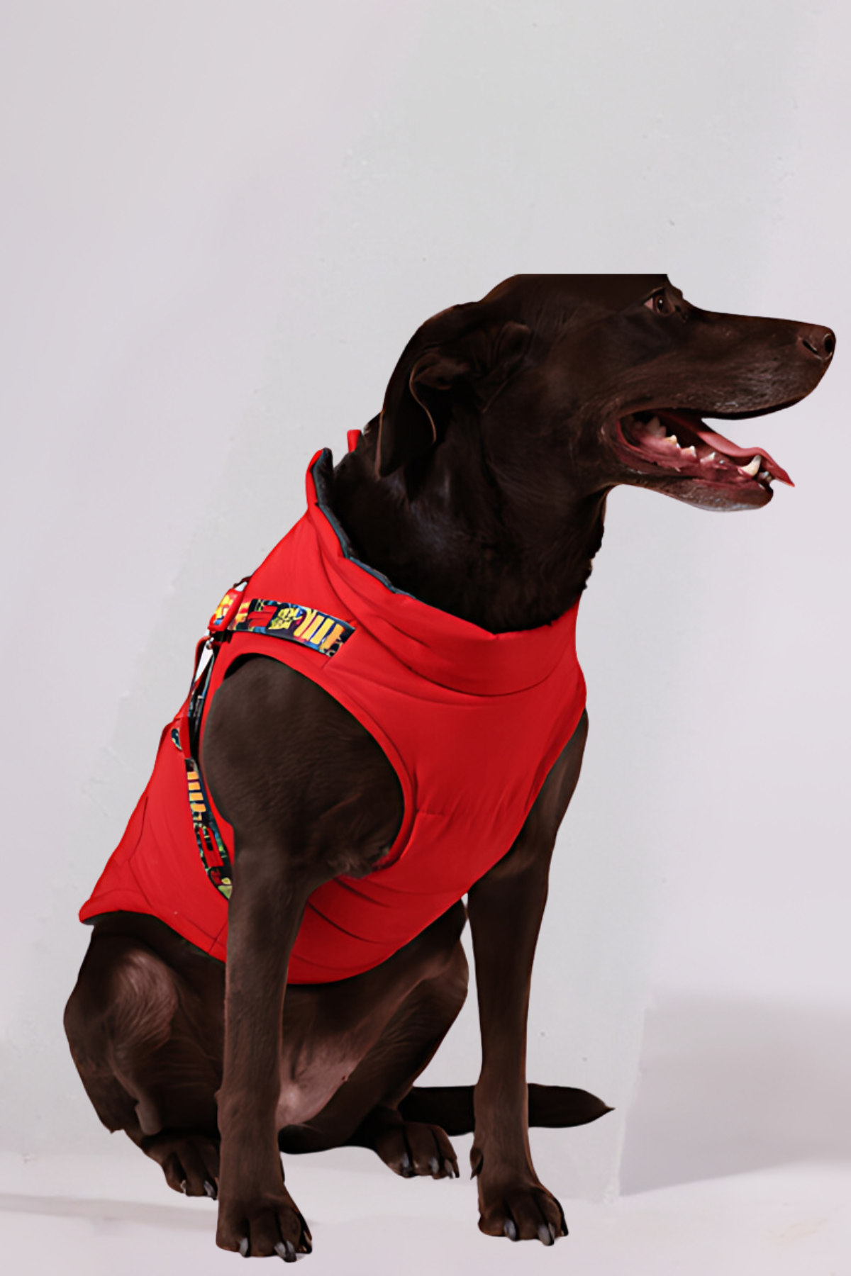 Pawlook Göğüs Tasmalı Köpek Montu Kırmızı