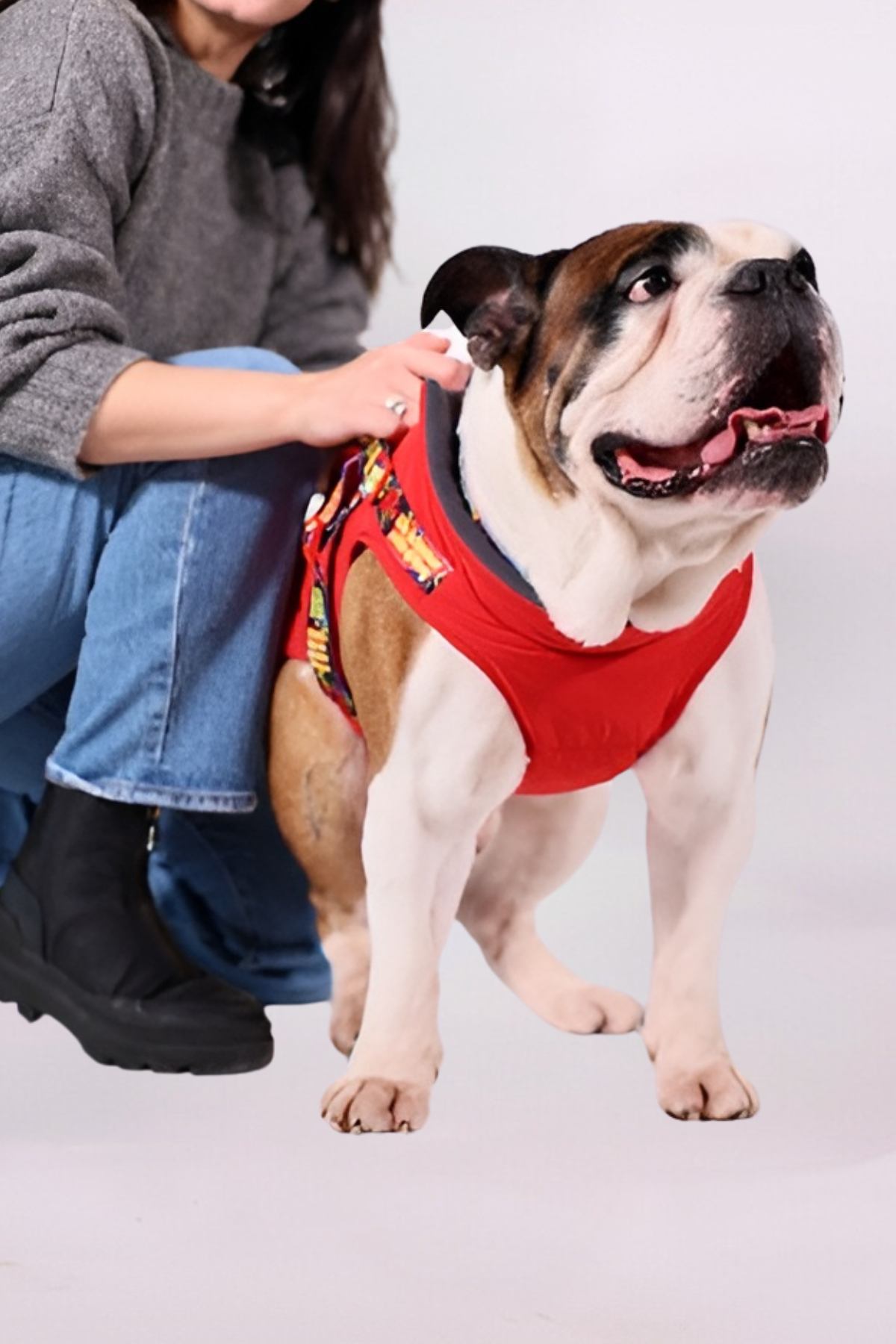 Pawlook Göğüs Tasmalı Köpek Montu Kırmızı