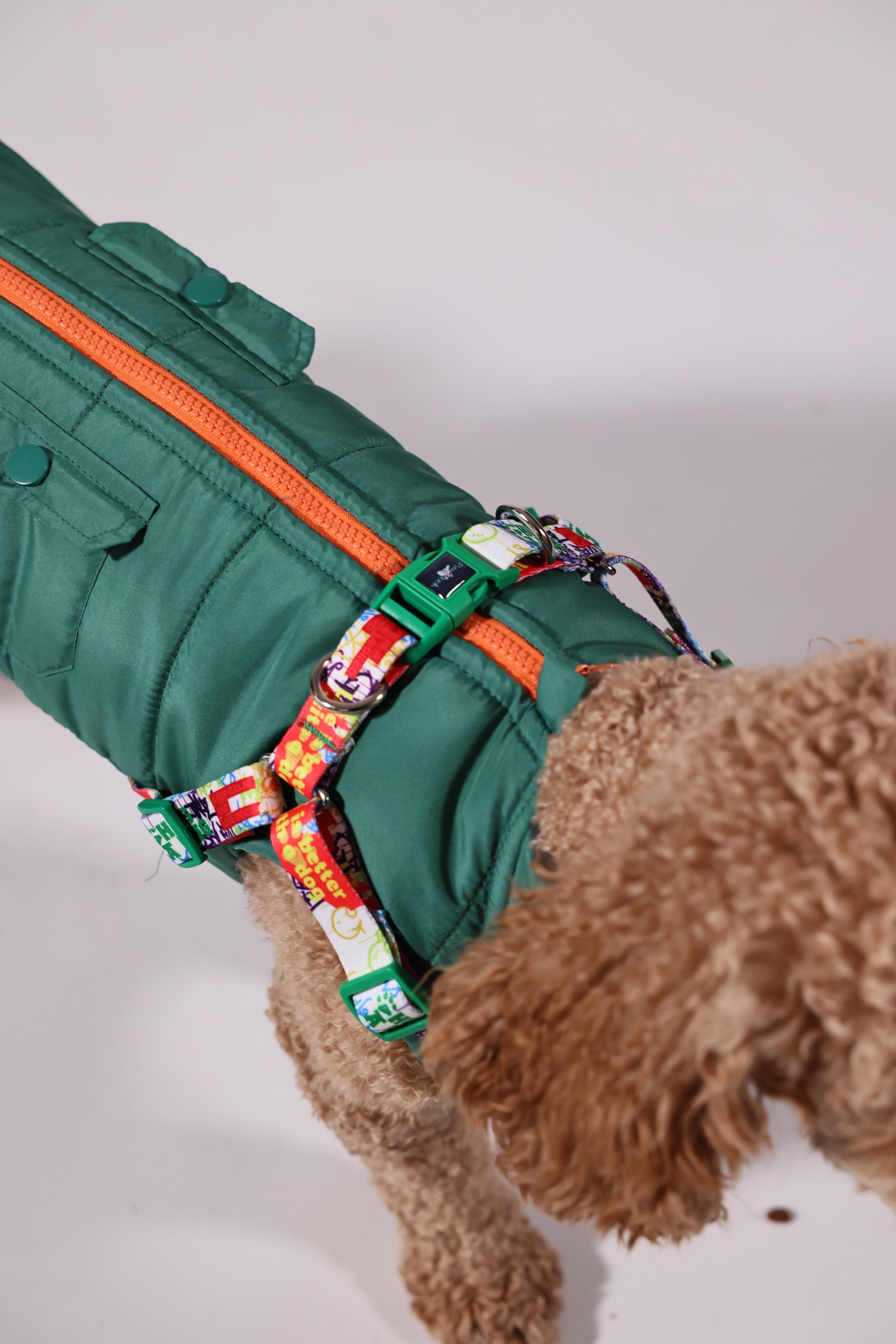 Pawlook Göğüs Tasmalı Köpek Montu Yeşil