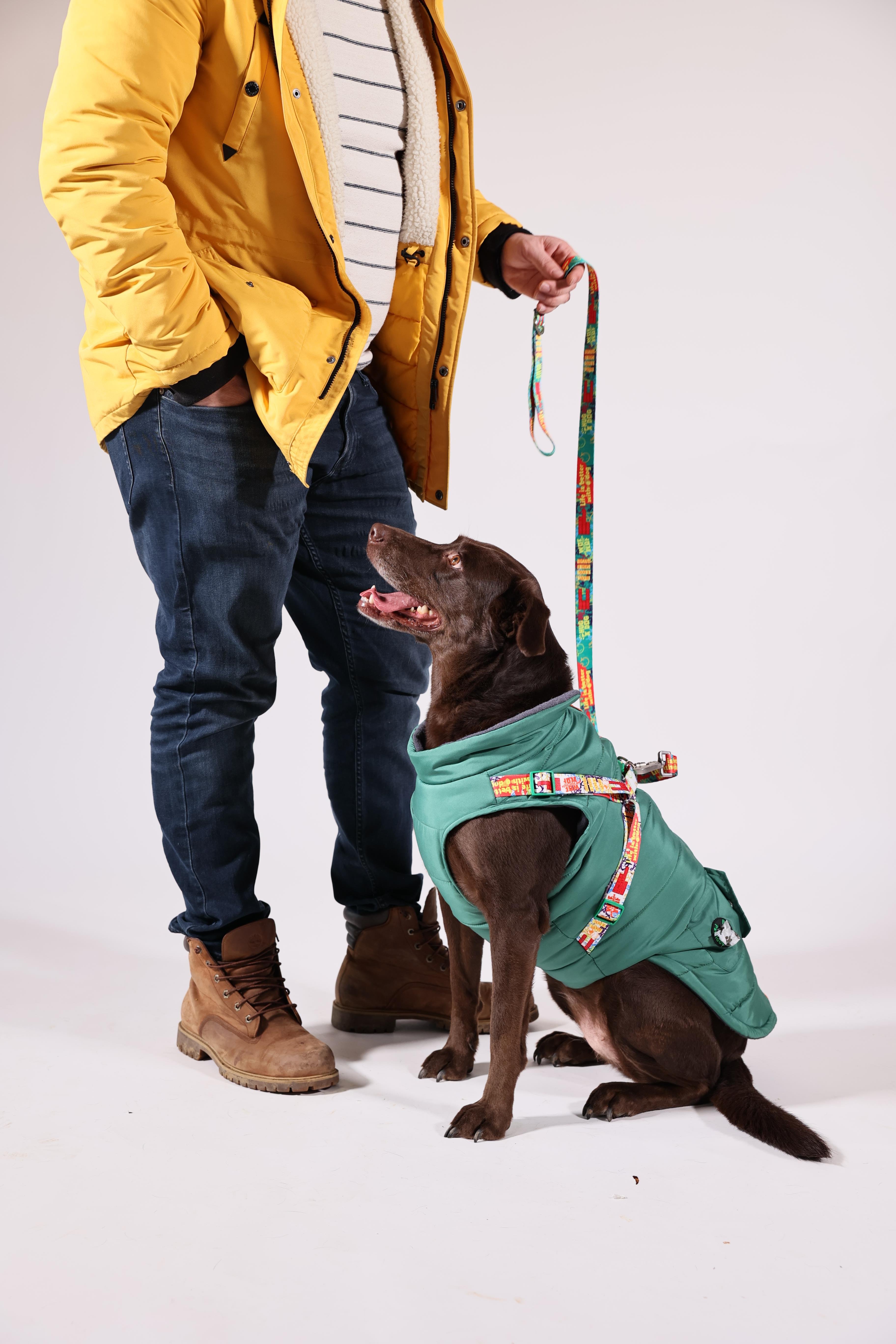 Pawlook Göğüs Tasmalı Köpek Montu Yeşil
