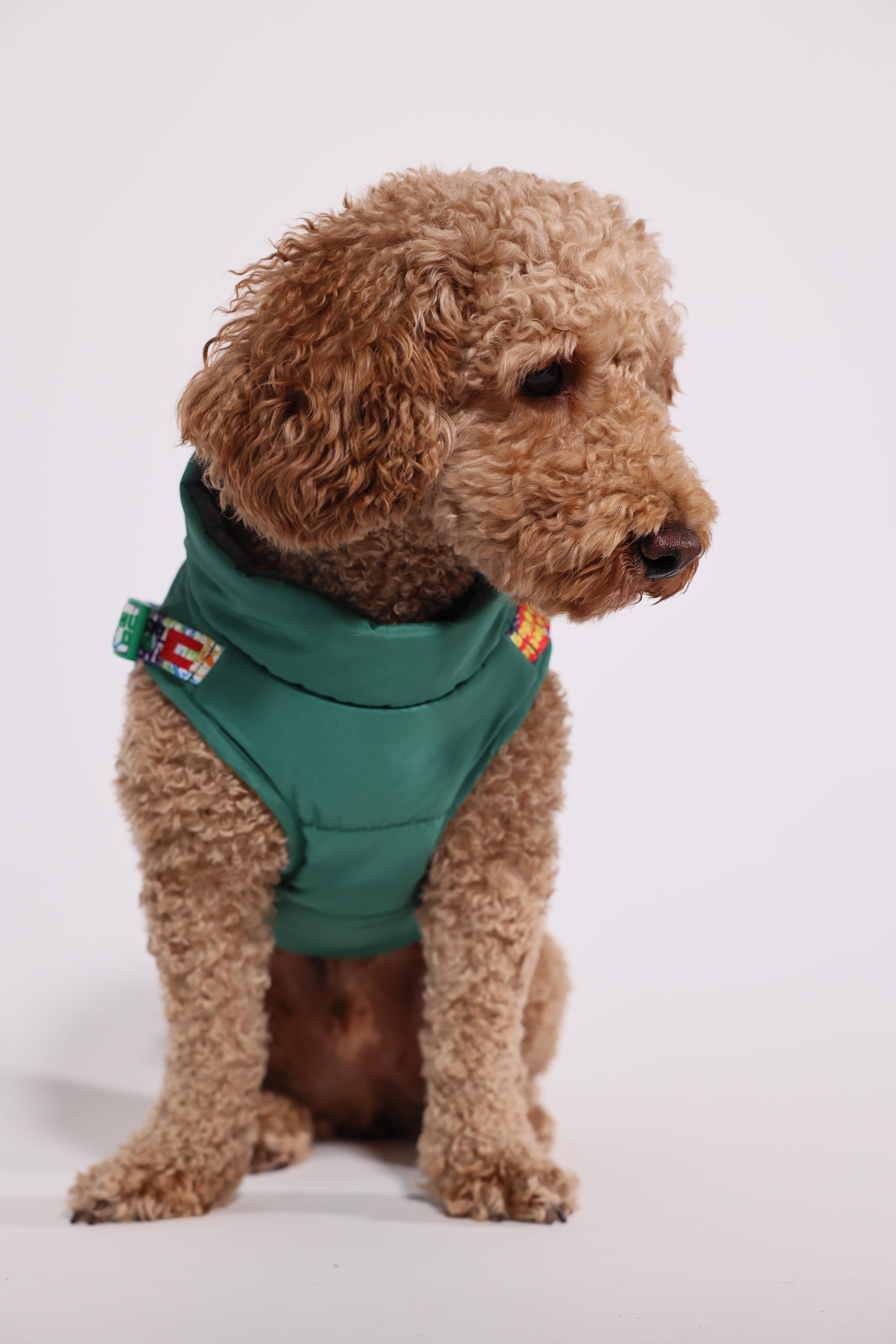Pawlook Göğüs Tasmalı Köpek Montu Yeşil