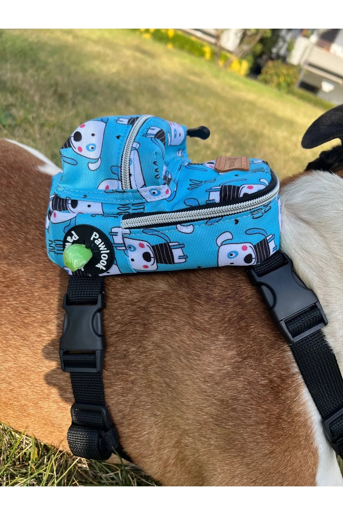 Pawlook Köpek Göğüs Tasması Sırt Çantası Cutedog