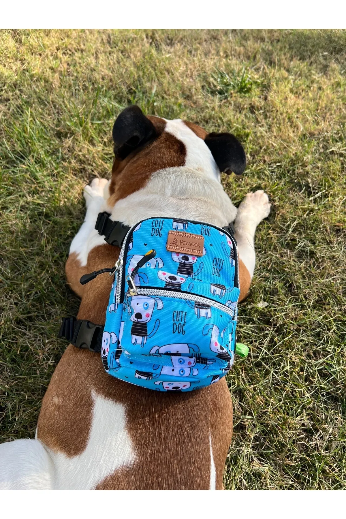 Pawlook Köpek Göğüs Tasması Sırt Çantası Cutedog