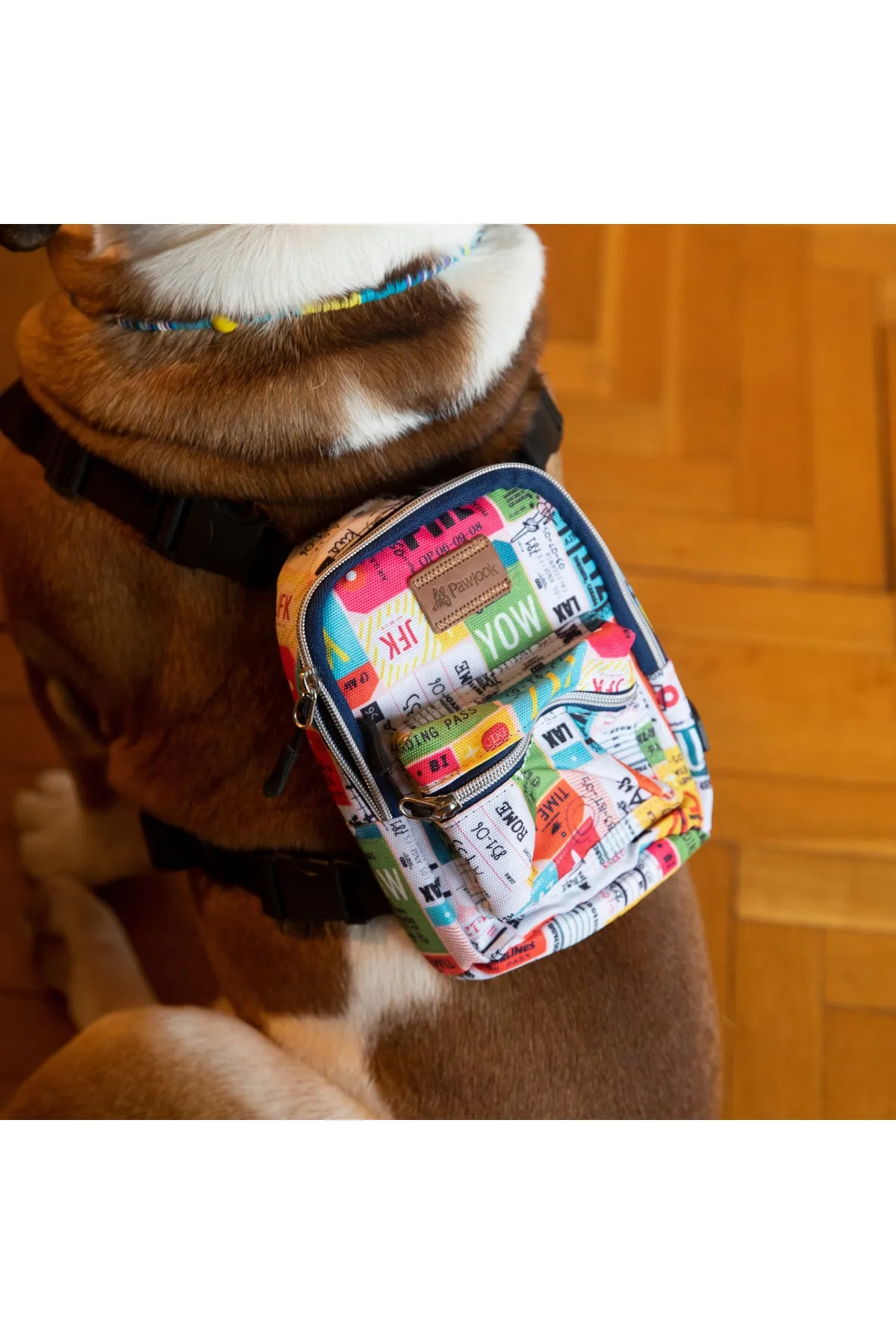 PAWLOOK Köpek Tasması Sırt Çantası Traveller