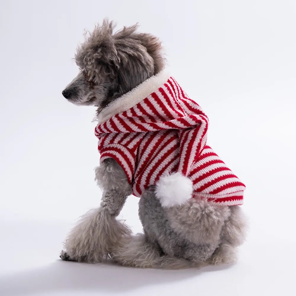 PawStar  25732-Candy Cane Yelek Sweat