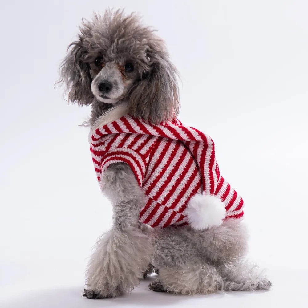 PawStar  25732-Candy Cane Yelek Sweat