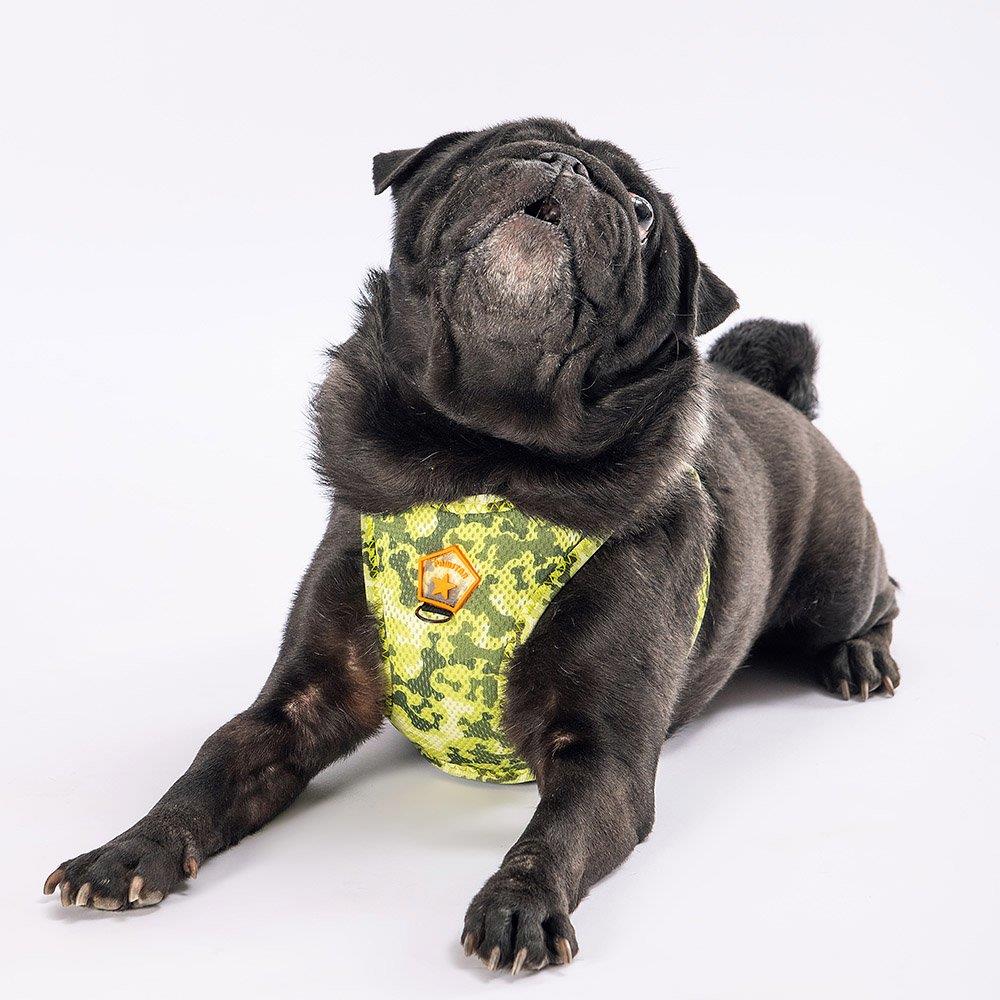 PawStar  Airmesh GreeNossa Göğüs Tasması