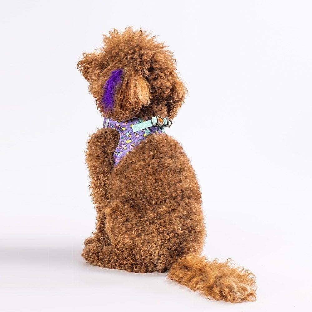 PawStar  Airmesh Ice Cream Göğüs Tasması