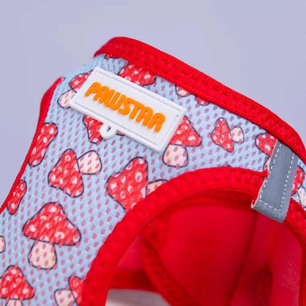 PawStar  Airmesh Mushroom Göğüs Tasması