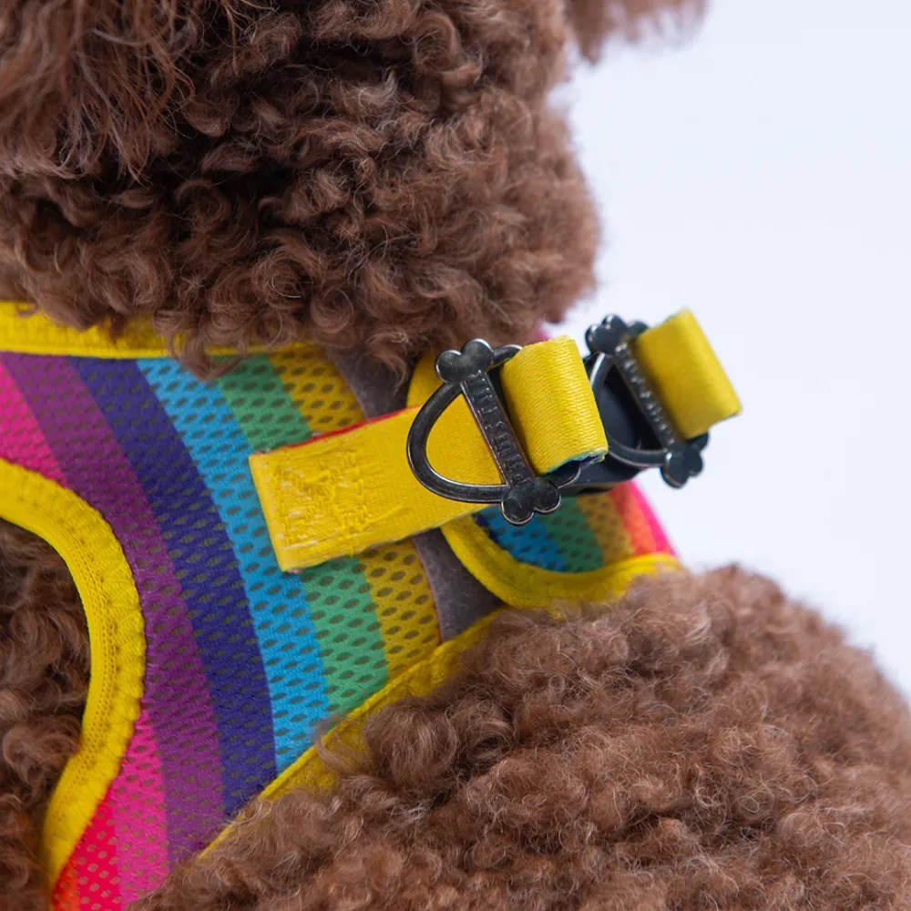 PawStar  Airmesh Rainbow Göğüs Tasması