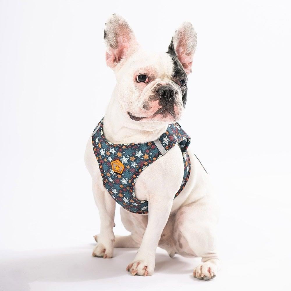 PawStar  Airmesh Stallae Göğüs Tasması