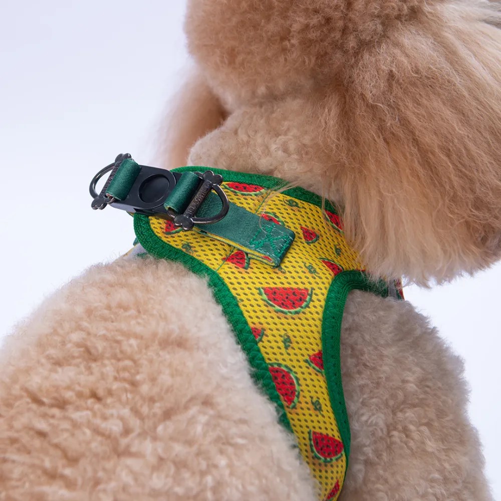 PawStar  Airmesh Watermelon Göğüs Tasması