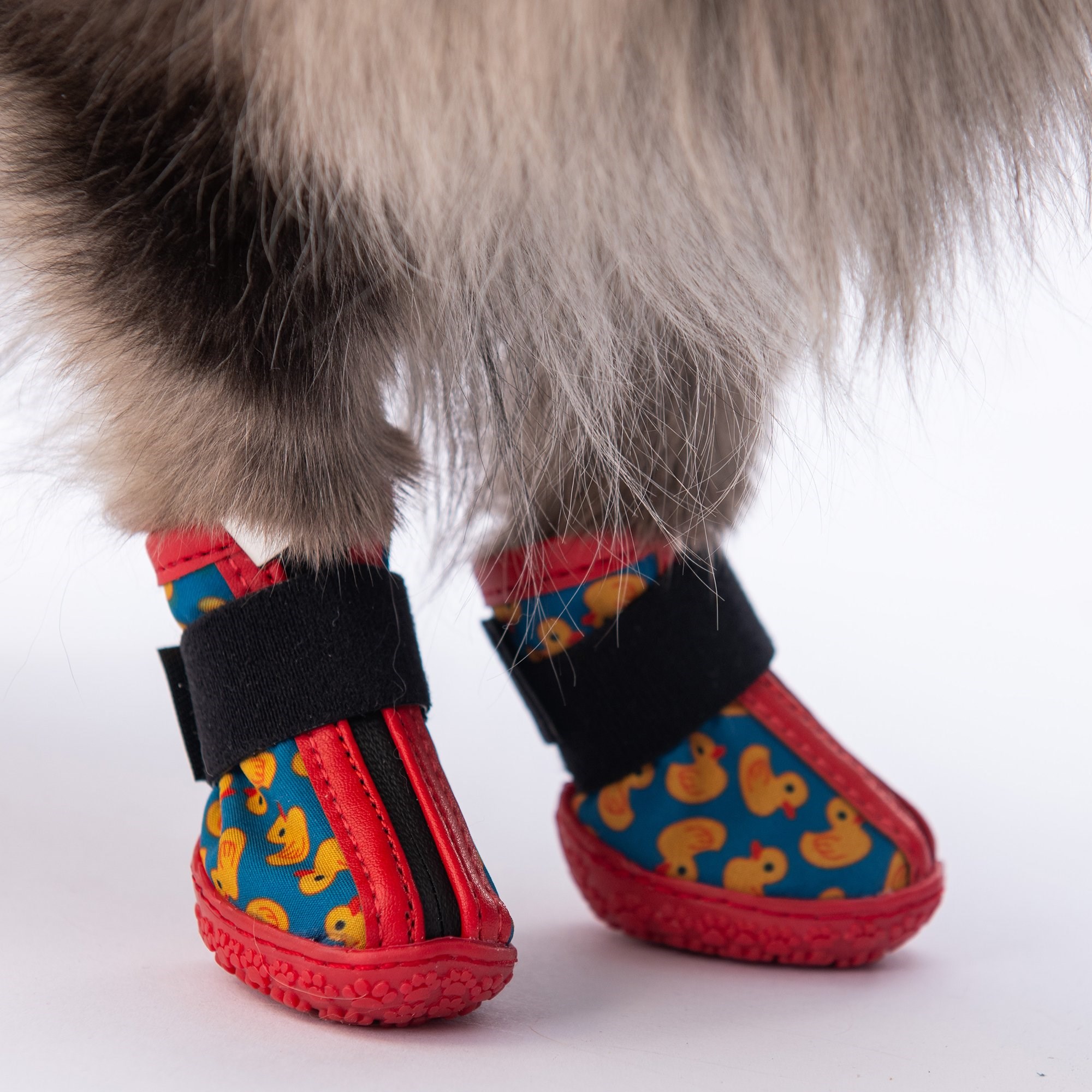PawStar  Ducks Köpek Ayakkabısı