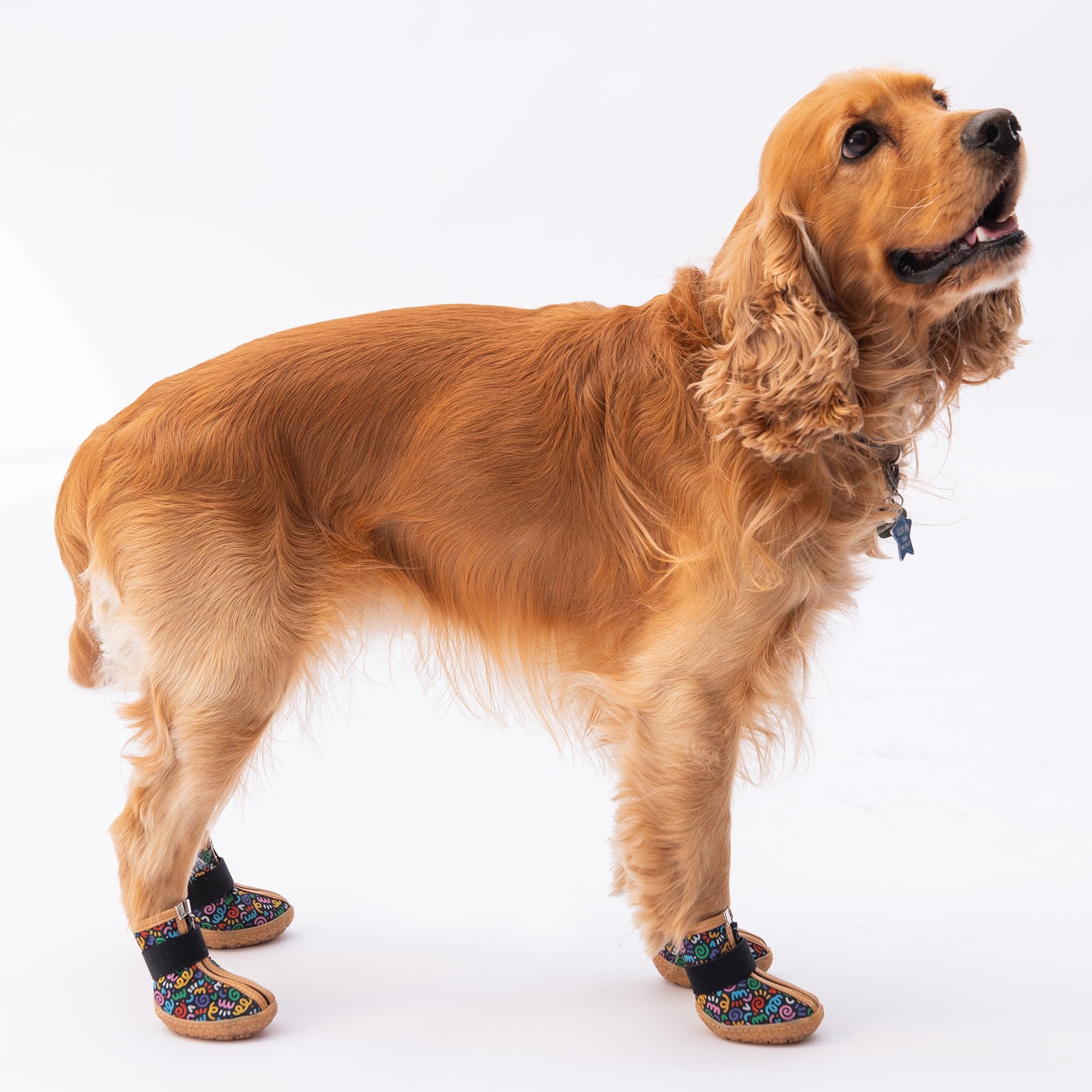 PawStar  Ferrara Köpek Ayakkabısı