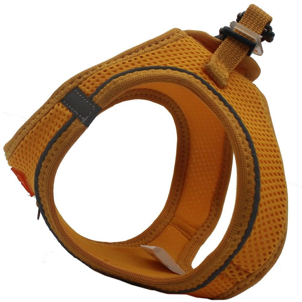PawStar  Gold Airmesh Köpek Göğüs Tasması