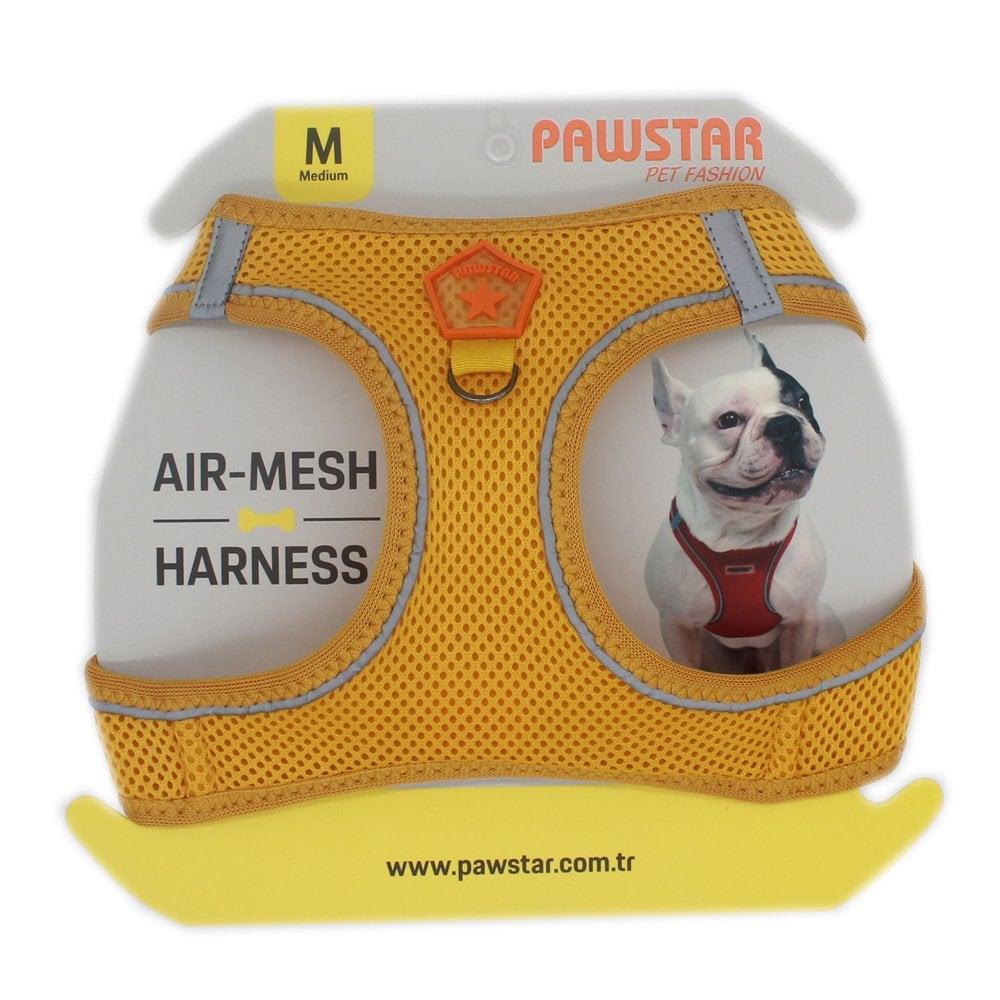 PawStar  Gold Airmesh Köpek Göğüs Tasması