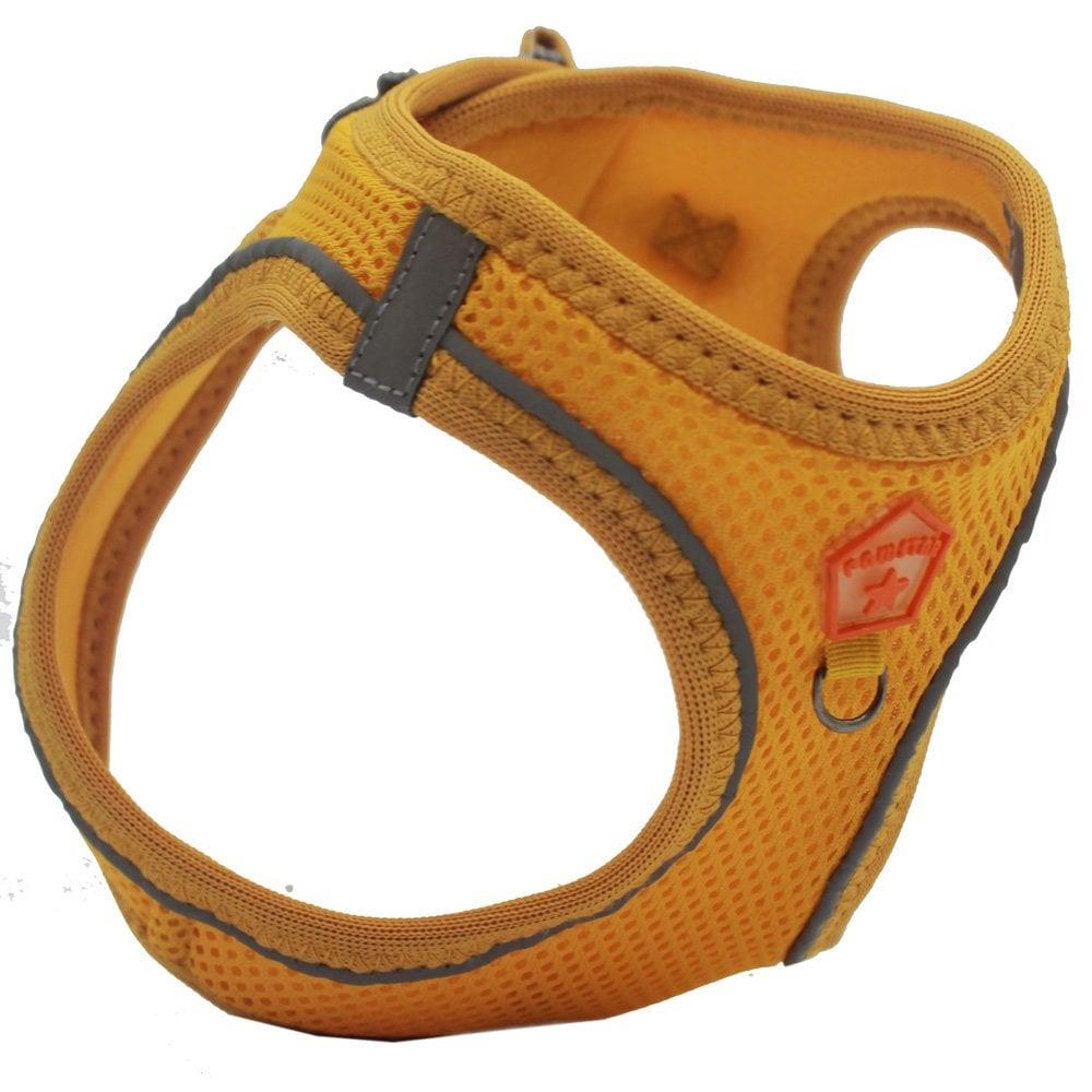 PawStar  Gold Airmesh Köpek Göğüs Tasması