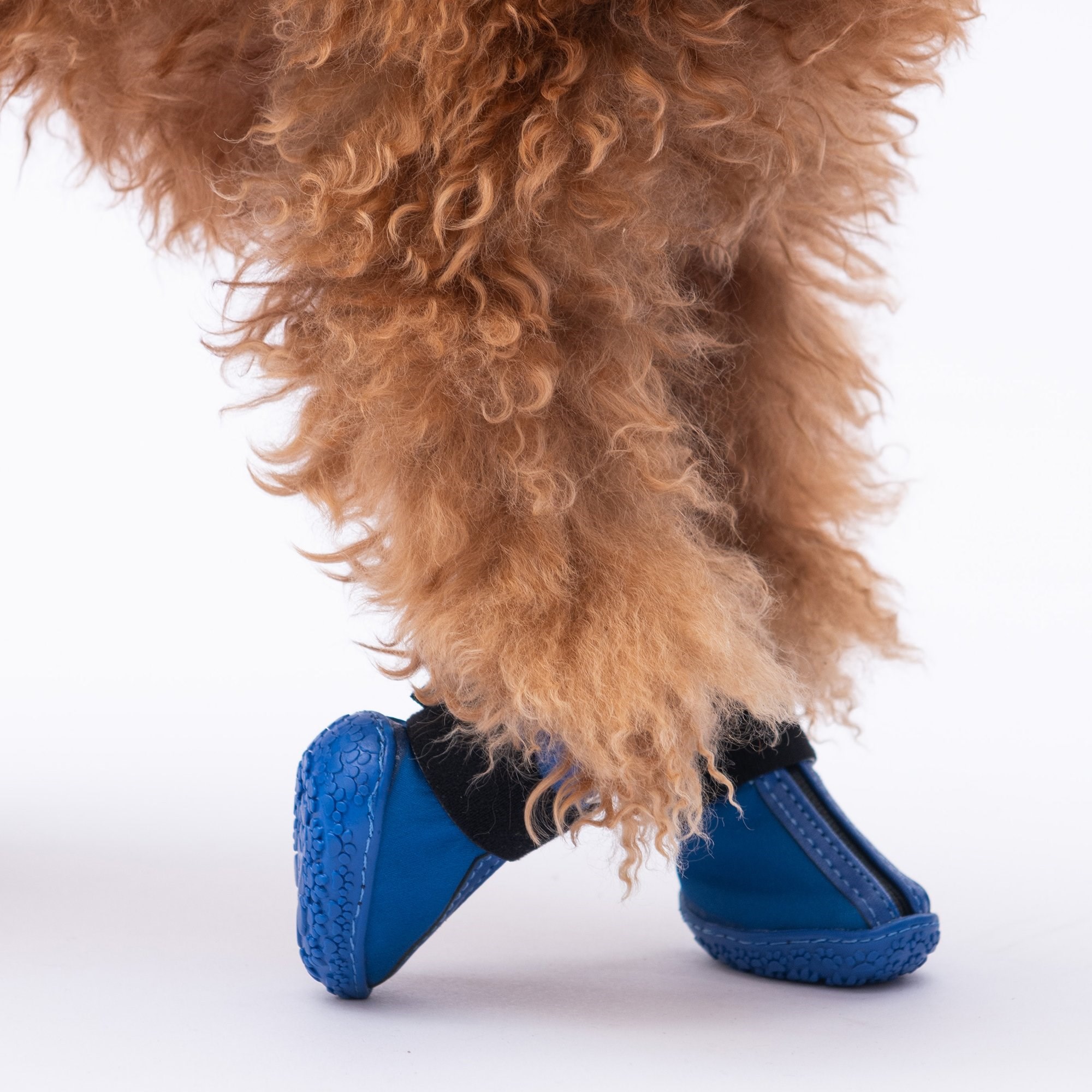 PawStar  Mavi Köpek Ayakkabısı