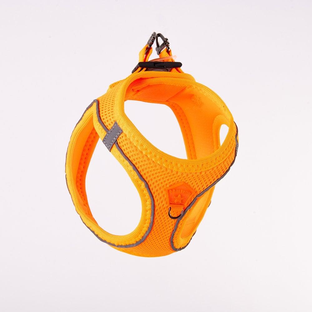 PawStar  Neon Orange - Neon Turuncu Airmesh Köpek Göğüs Tasması