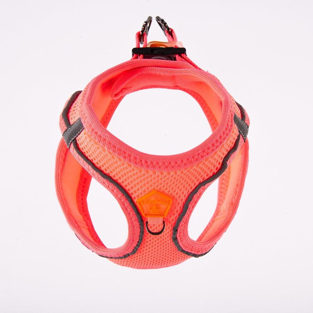 PawStar  Neon Pink - Neon Pembe Airmesh Köpek Göğüs Tasması