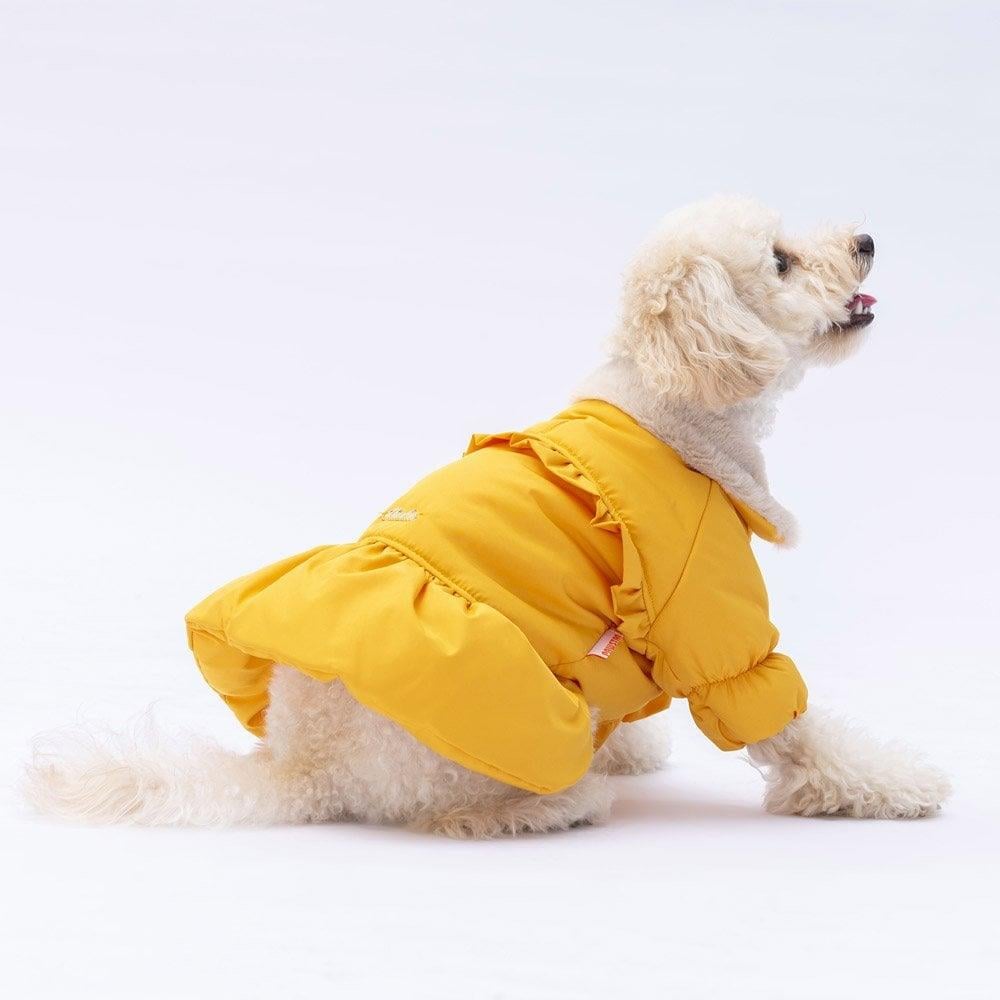PawStar  Sarı Elizabeth Yağmurluk Küçük ve Orta Irk