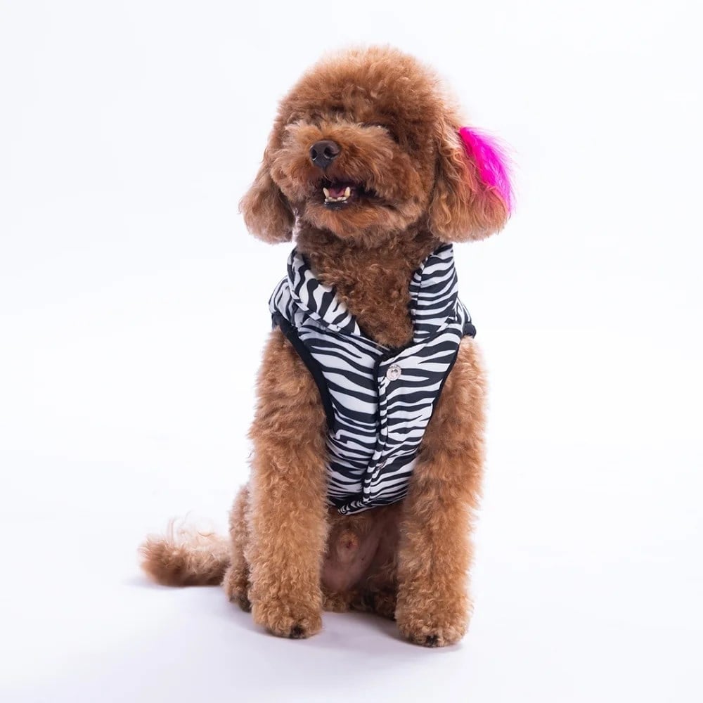 PawStar 25107 Lodwar Street Yelek Küçük ve Orta Irk