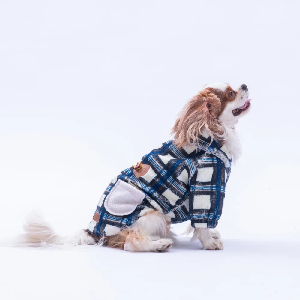 PawStar 25205-Mavi Chicago Ceket