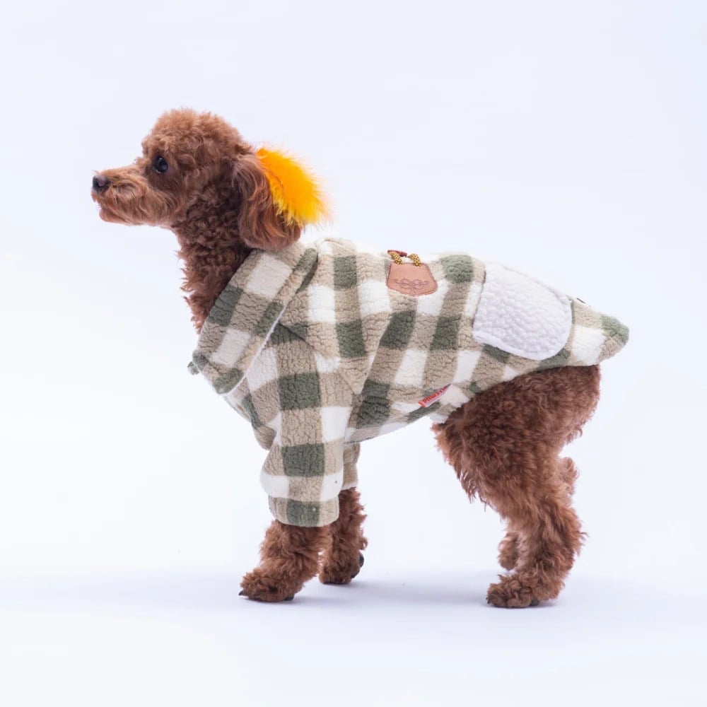 PawStar 25206-Yeşil Chicago Ceket