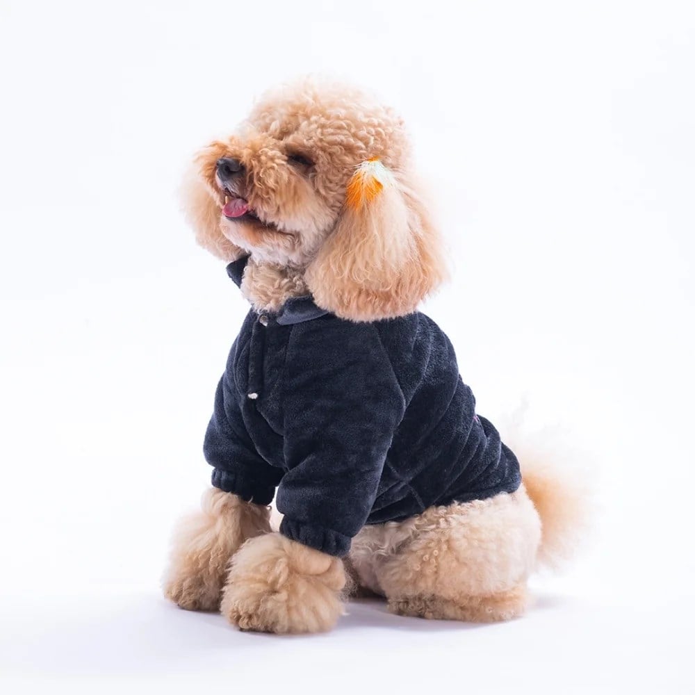PawStar 25208-Antrasit Jaipur Magic Ceket
