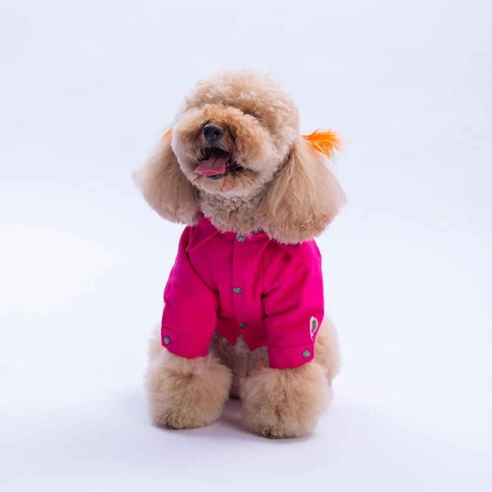PawStar 25210- Fuşya Cancun Pop Ceket
