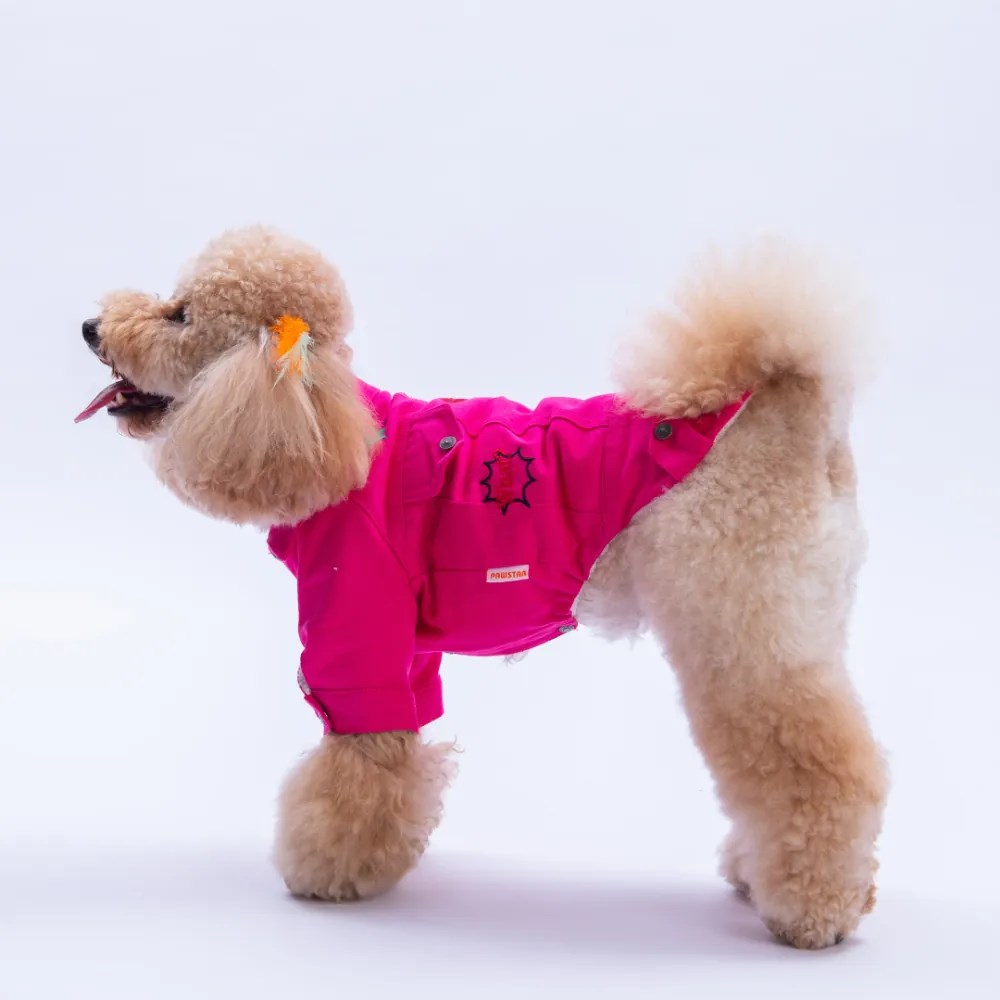 PawStar 25210- Fuşya Cancun Pop Ceket