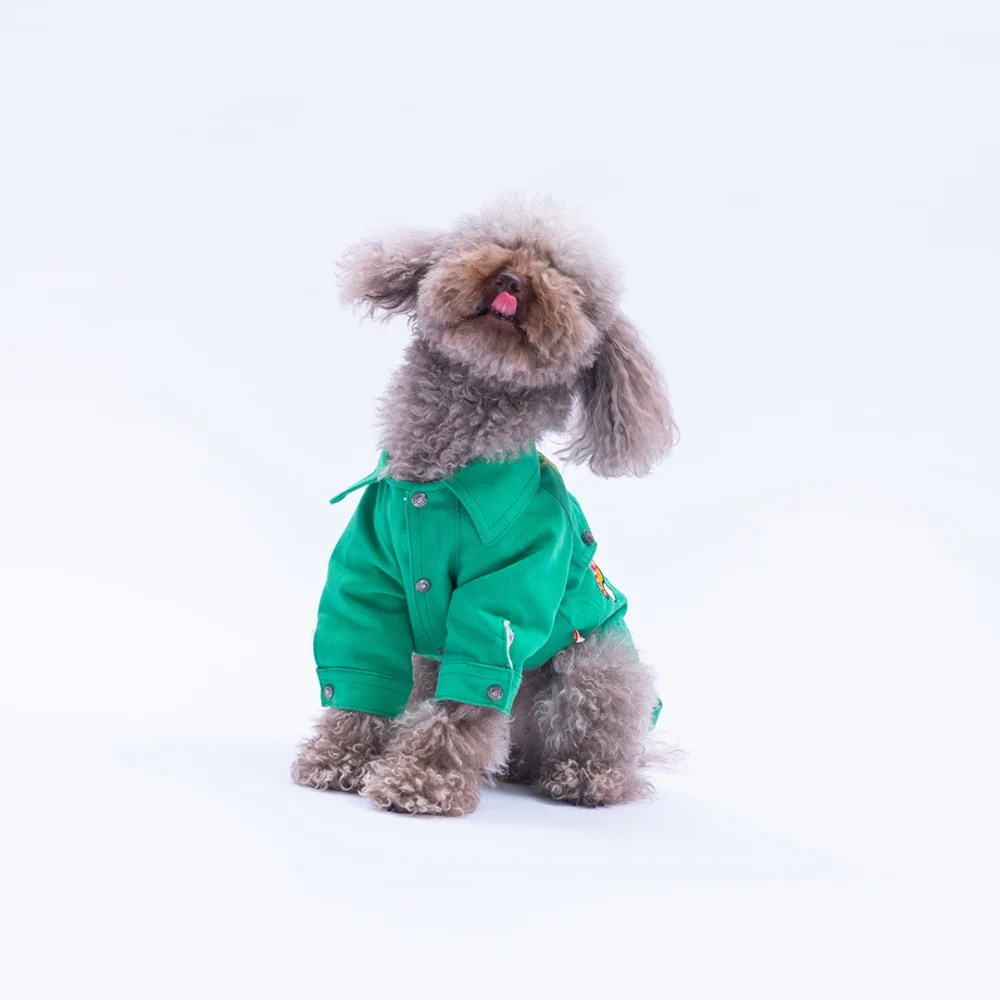 PawStar 25212-Yeşil  Cancun Pop Ceket