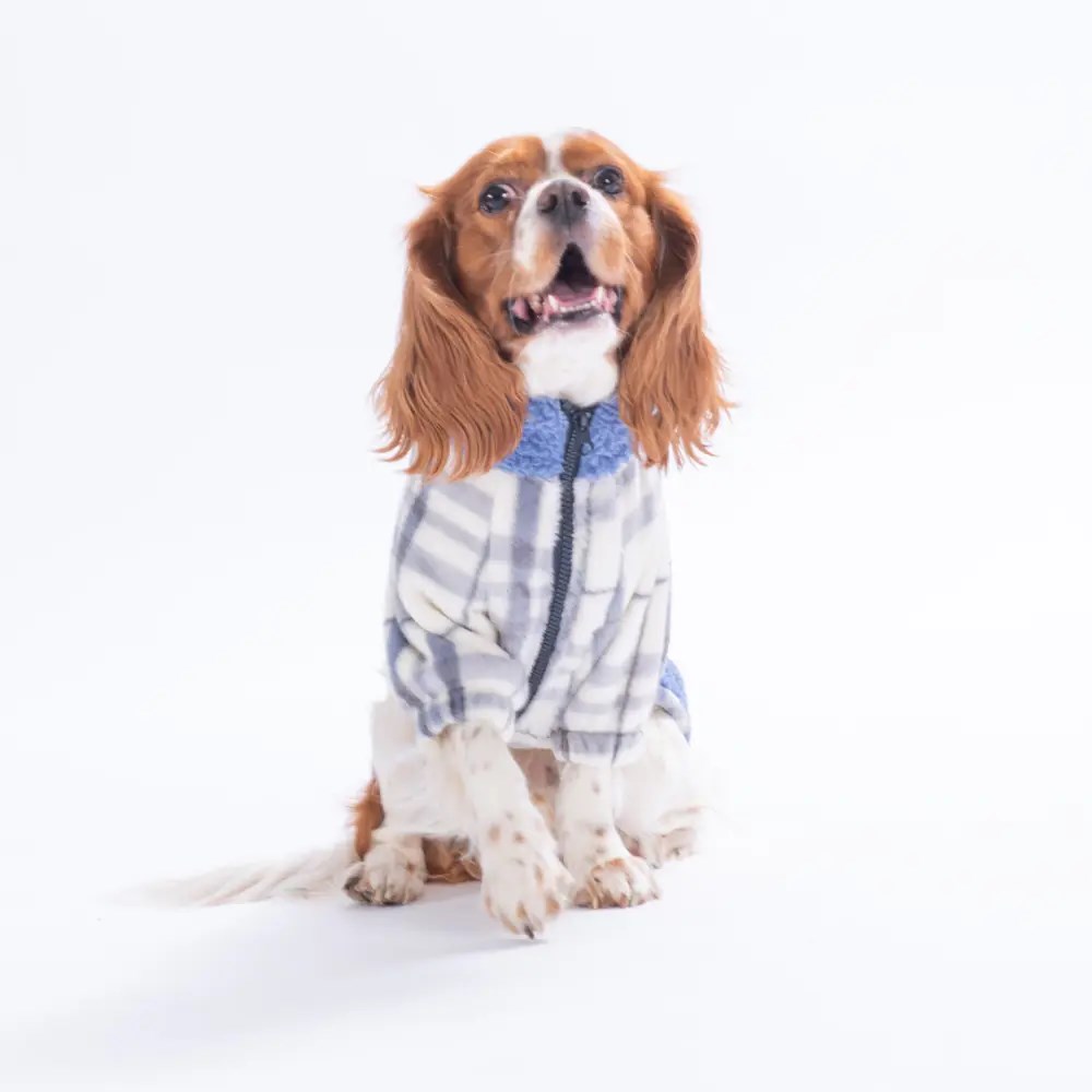 PawStar 25214-Krem Chicago Checks Ceket
