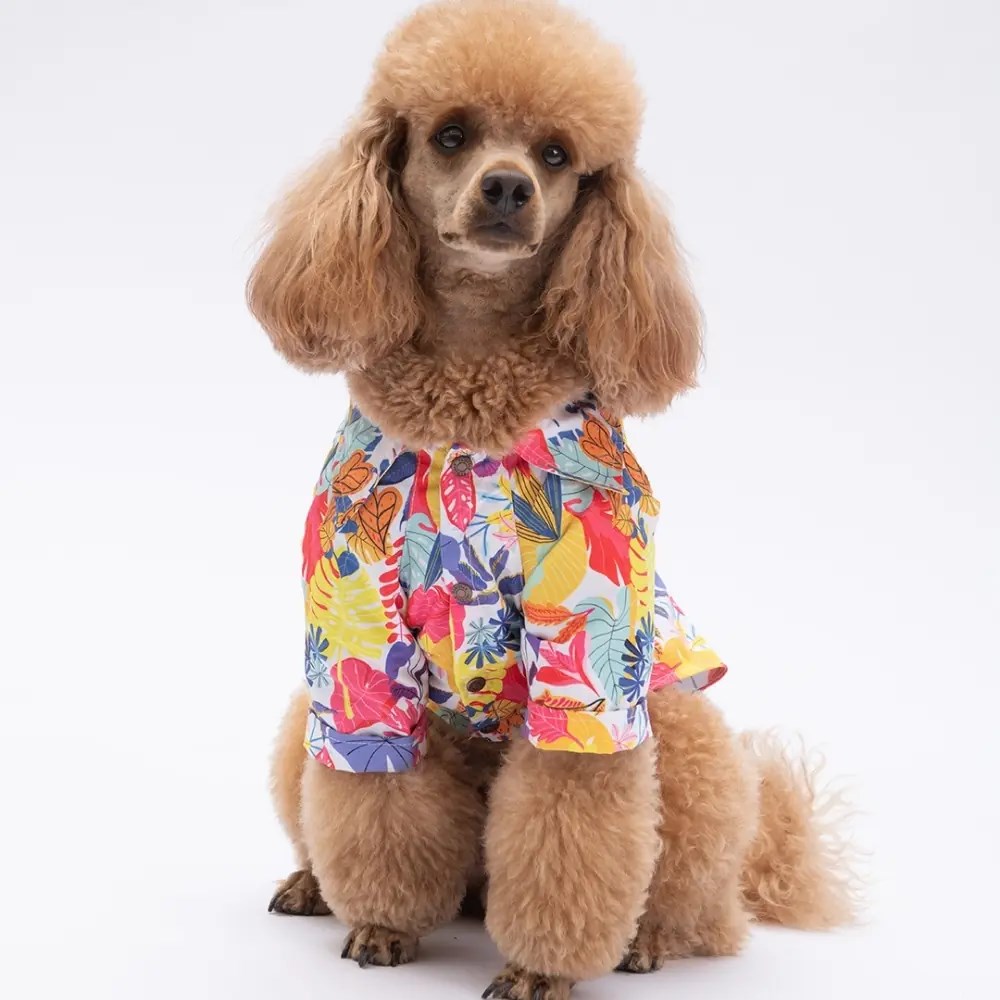 PawStar 25404 Miami Desenli Gömlek